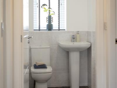 Picture 27